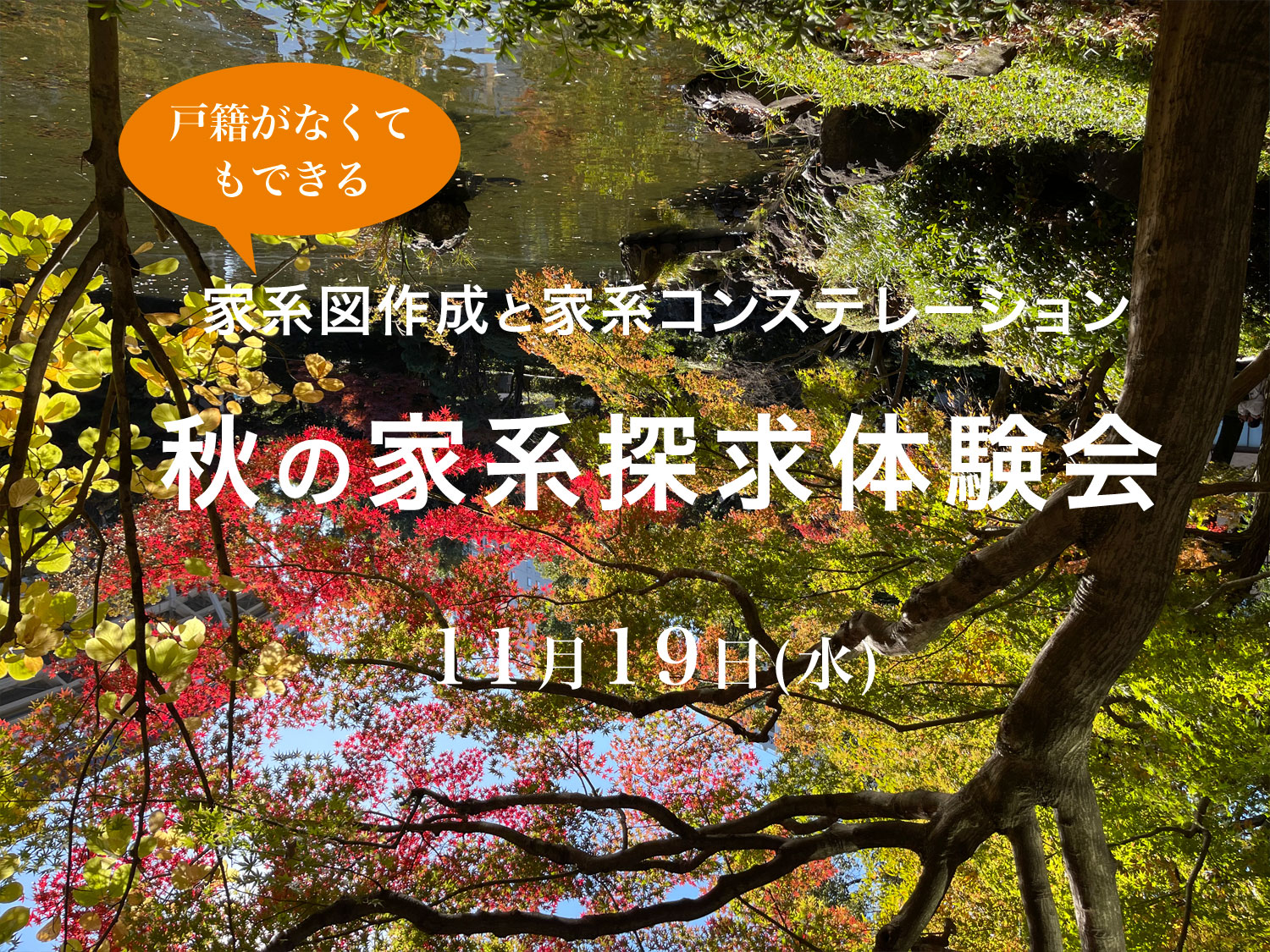 秋の家系探求体験会